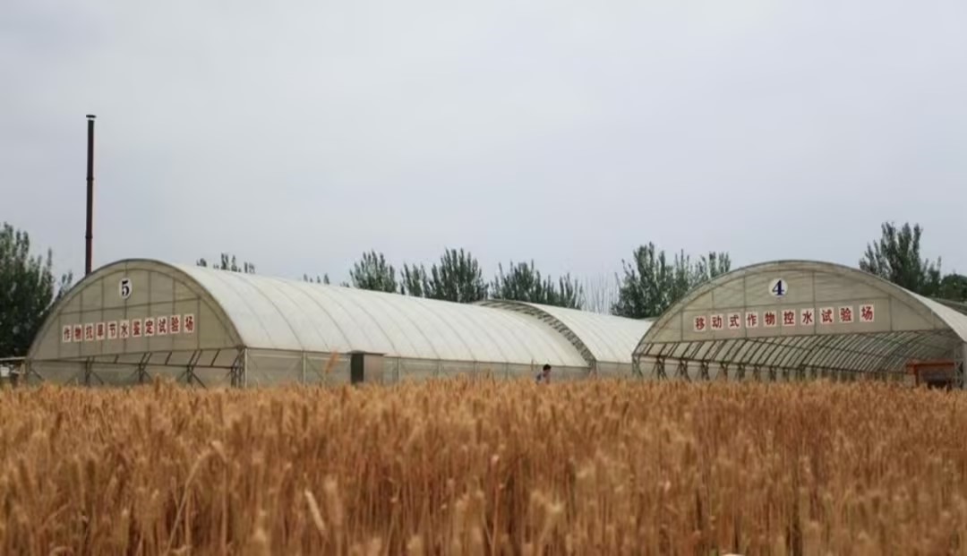 旱區節水農業研究院