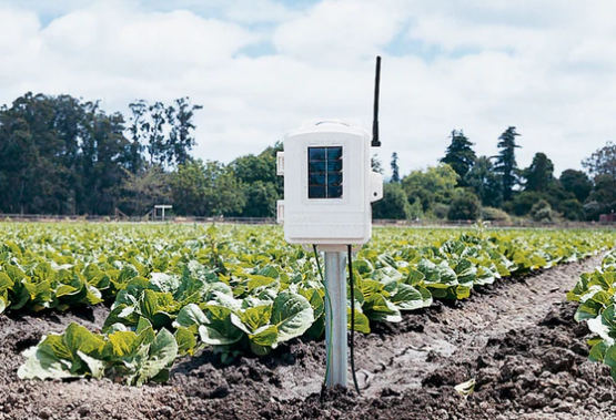 土壤溫濕度監測