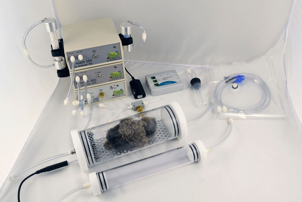 動物二氧化碳測量系統(tǒng)