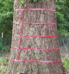 圖片關(guān)鍵詞 圖片關(guān)鍵詞