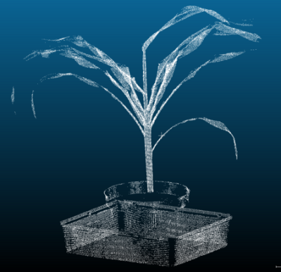 植物表型成像系統