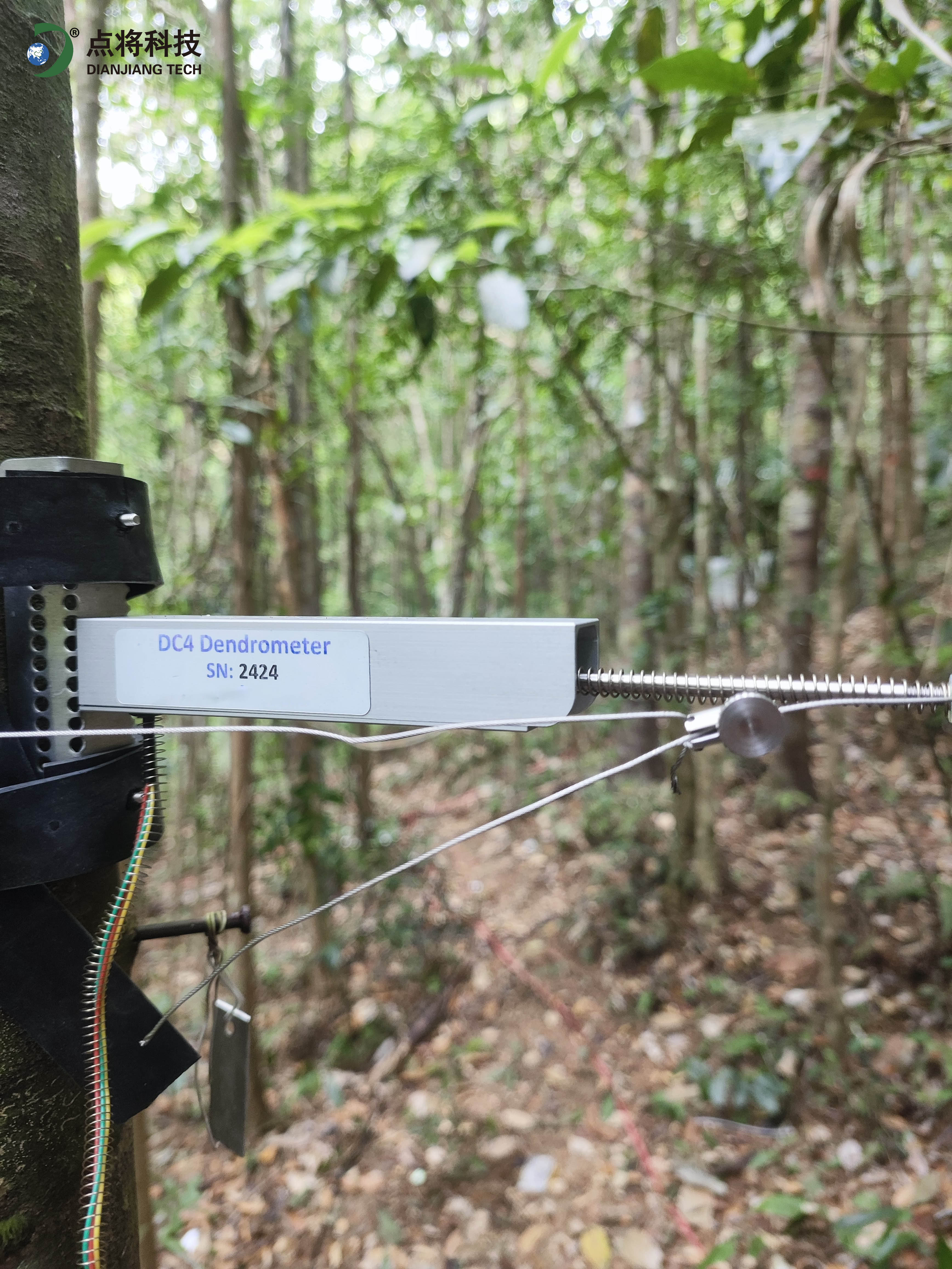 莖稈變化測量 莖稈變化測量