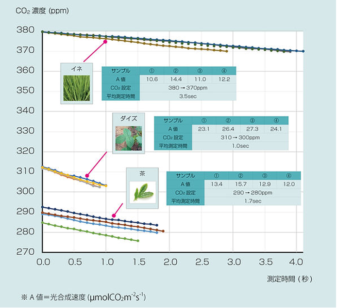 植物光合作用速率測量儀