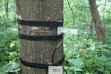 DC3周長生長測量傳感器