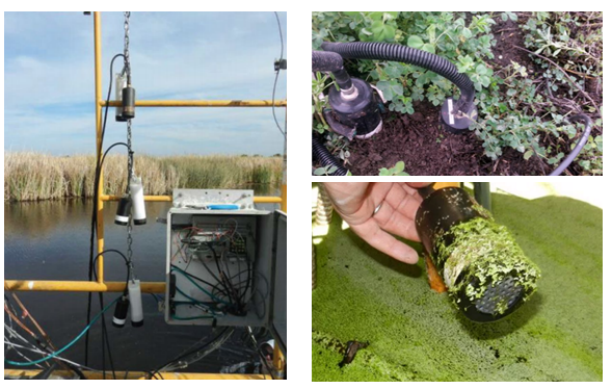 土壤剖面呼吸梯度觀測系統