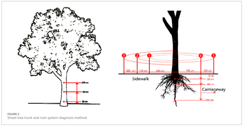 圖片關鍵詞 圖片關鍵詞