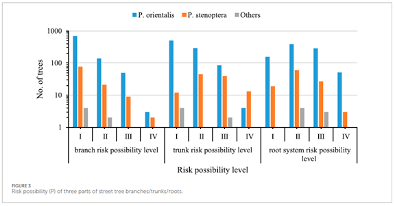 圖片關鍵詞 圖片關鍵詞