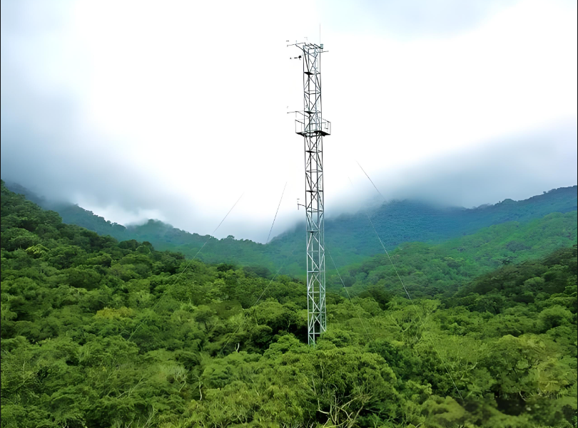 森林物候監測解決方案 森林物候監測解決方案