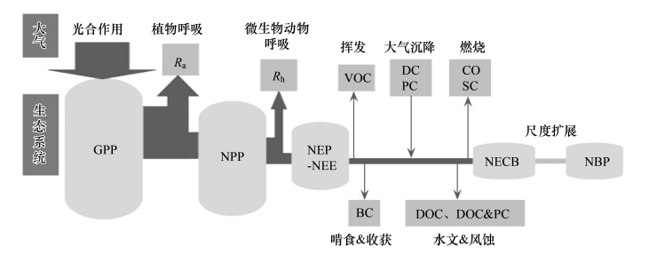 陸地生態碳匯綜合解決方案
