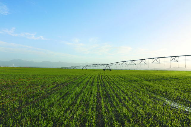 多參數土壤測量系統