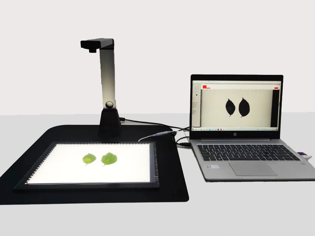 點將葉片圖像分析儀 點將葉片圖像分析儀