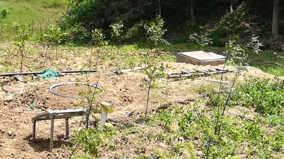 點將土壤蒸滲系統 點將土壤蒸滲系統