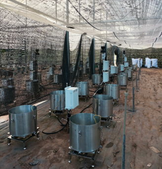 蒸滲測量系統 蒸滲測量系統