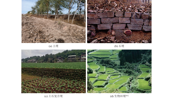 圖片關鍵詞 圖片關鍵詞