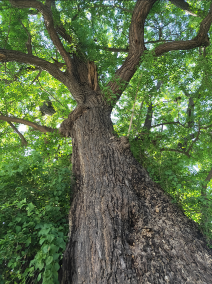 圖片關鍵詞 圖片關鍵詞
