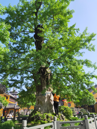 圖片關鍵詞 圖片關鍵詞