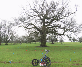 圖片關鍵詞 圖片關鍵詞