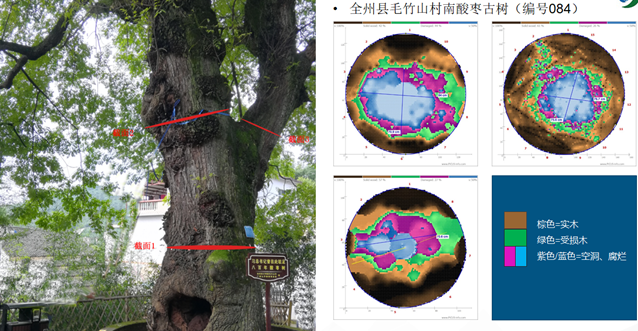 圖片關鍵詞 圖片關鍵詞