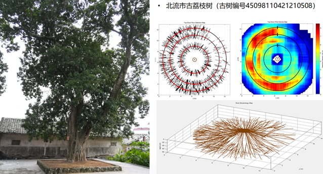 圖片關鍵詞 圖片關鍵詞