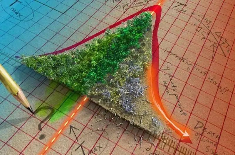 圖片關鍵詞 圖片關鍵詞