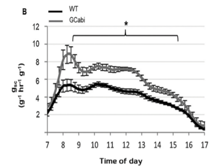 植物對環境脅迫的動態相應