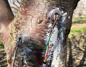 水勢(shì)傳感器