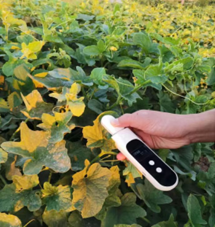 DJ-0352植物葉綠素檢測儀