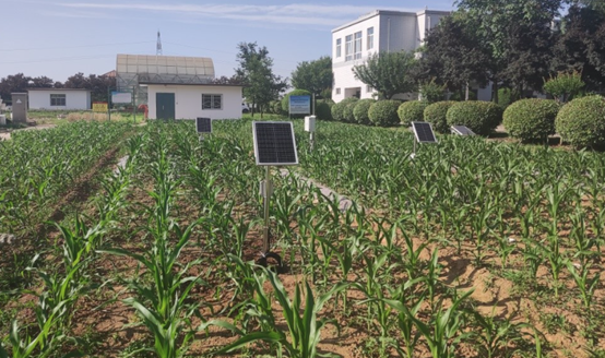 土壤旱情監測系統 土壤旱情監測系統