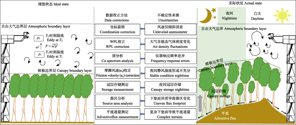 渦度相關技術通量觀測示意圖
