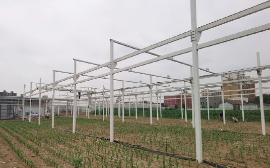 高通量植物表型測量系統(tǒng)