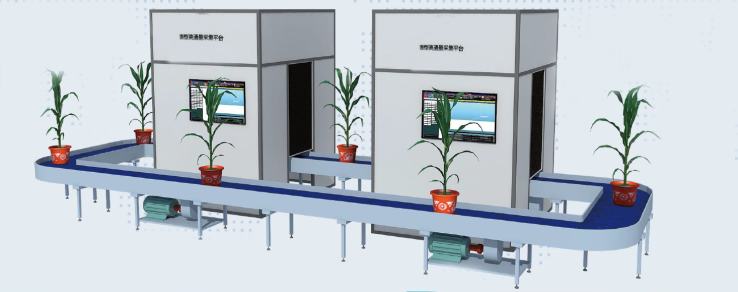 高通量植物表型測量系統