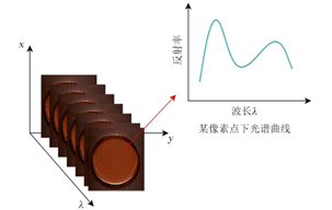 高光譜成像技術 高光譜成像技術
