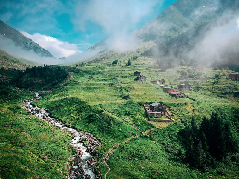 森林碳匯 森林碳匯