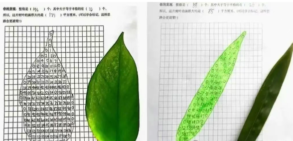 方格紙法 方格紙法