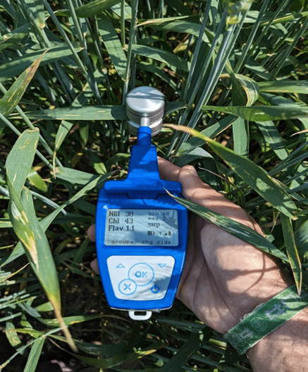 植物葉綠素&多酚測量儀