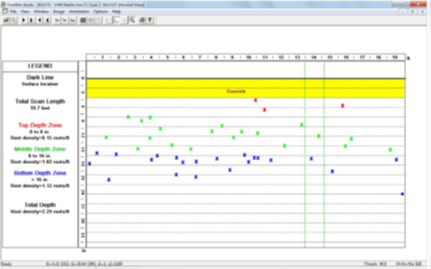 根系數(shù)據(jù)分析
