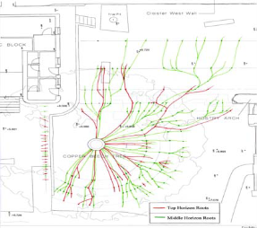 TRU樹木雷達(dá)