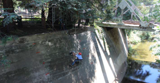 TRU樹木雷達(dá)及其現(xiàn)場應(yīng)用