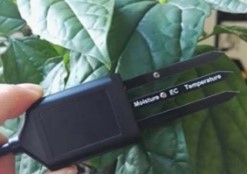 土壤水分溫度傳感器