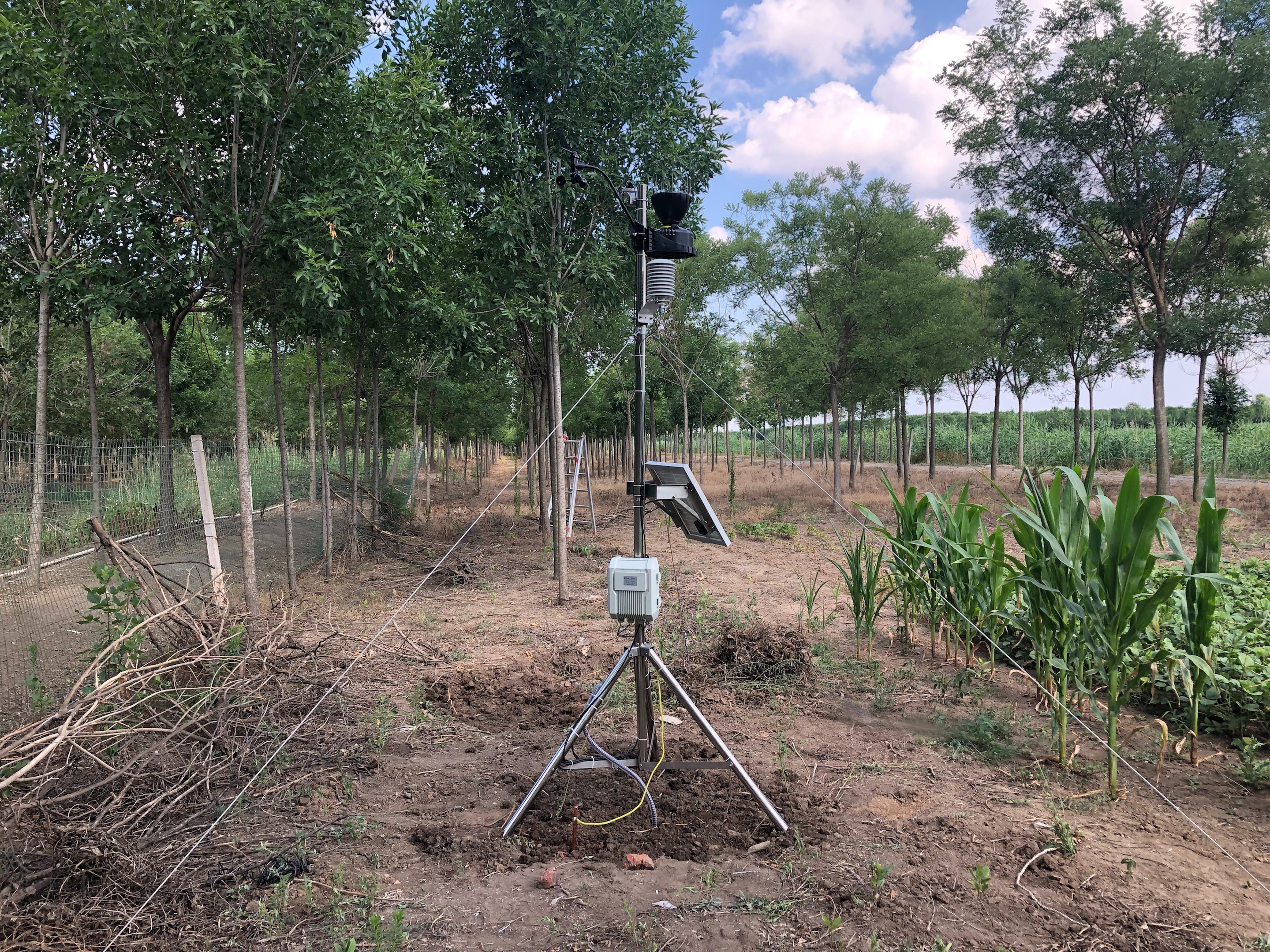 植物霜凍預(yù)警和監(jiān)測(cè)系統(tǒng)