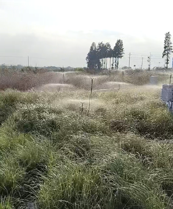 自動灌溉系統(tǒng)