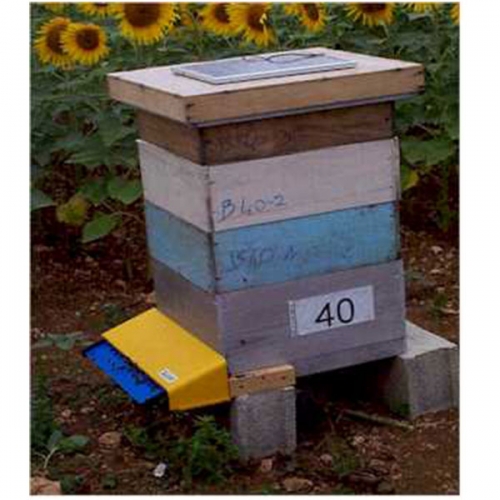 BeeSCAN蜜蜂計數器